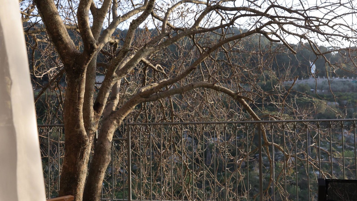Aarbaniye Hotel | The Silk Valley Resort