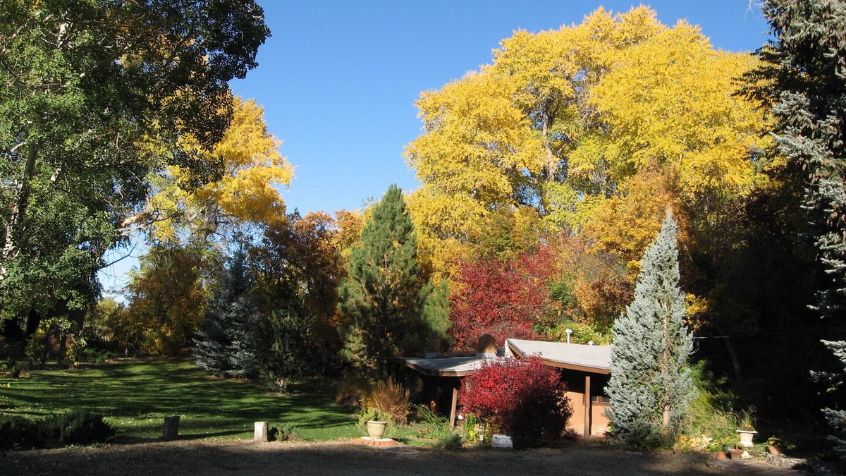 Valdez Cottage | The Sloping Porch Guest Cottage @ Rio Hondo Vally Alpacas-No Cleaning Fee