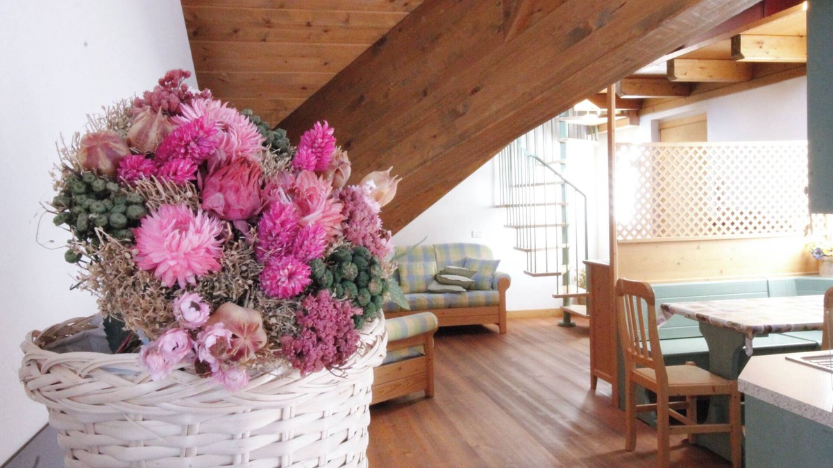 Passo Rolle Apartment | The Snowy Flea - Rolle Pass