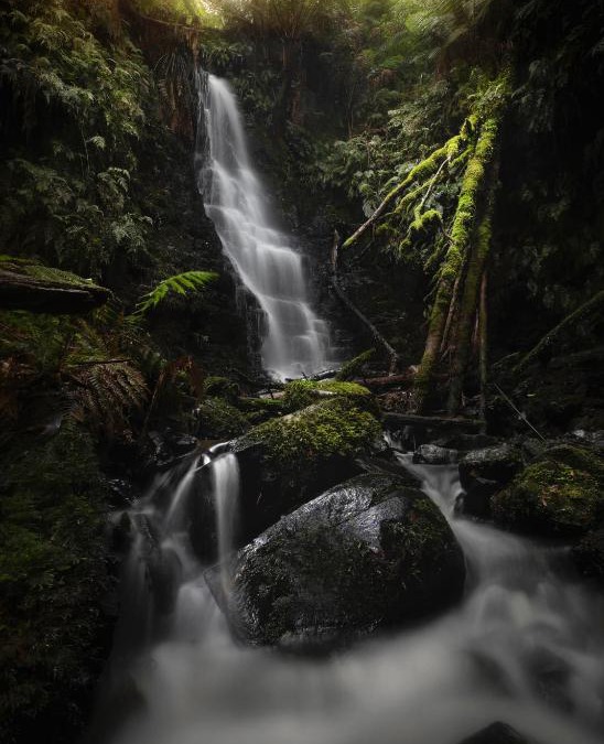Tanybryn Cabin | The Source, Otways