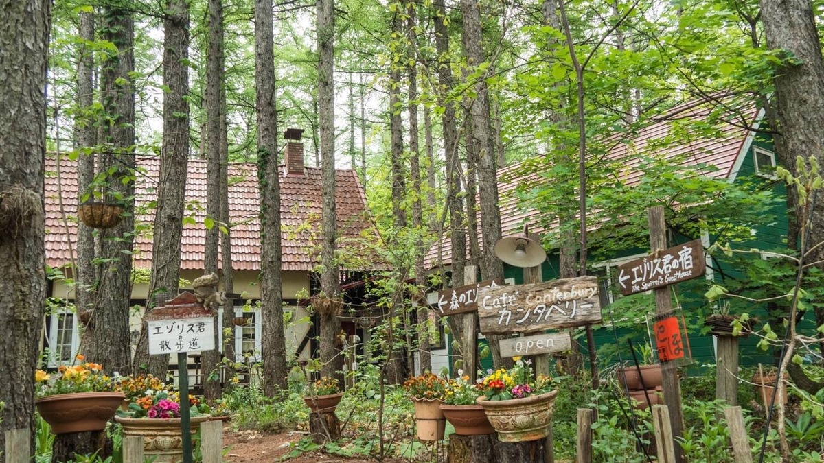 Nakasatsunai House | The squirrel's guesthouse Canterbury