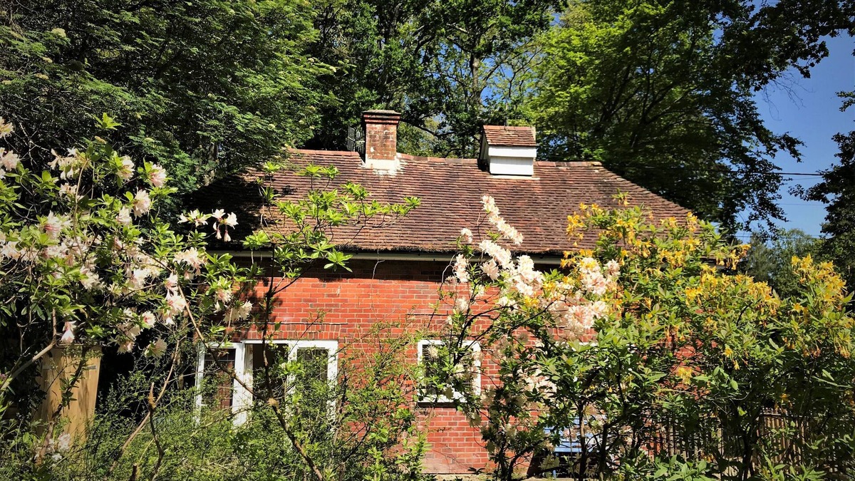 New Forest District Cottage | The Squirrels is a charming detached cottage in the New Forest National Park