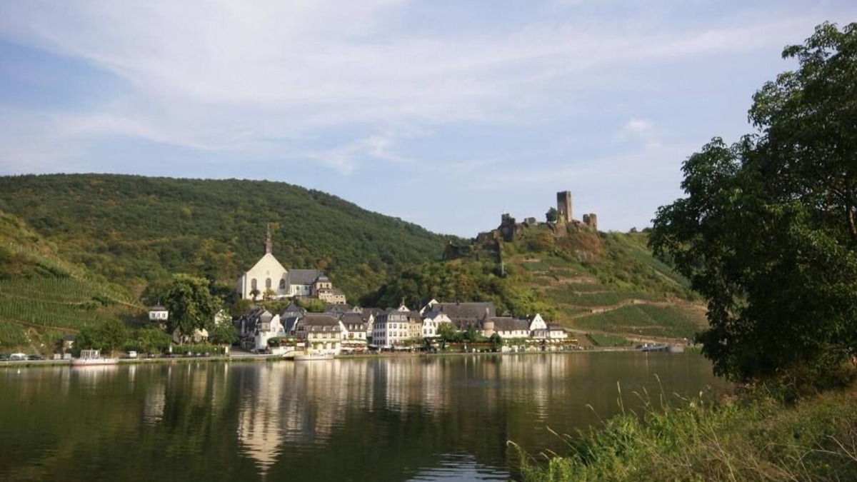 Beilstein Apartment | The Studio Apartment Dornfelder Beilsteiner - Apartments MOSEL