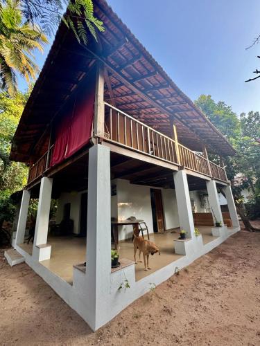 Anjuna Ski Chalet | The Sunset Chalet