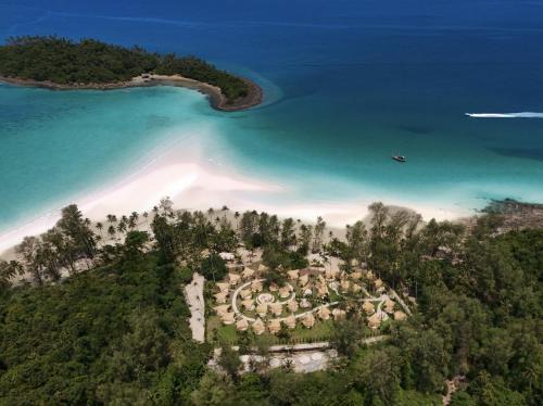 Ko Kood Other | The Survival by Seudam