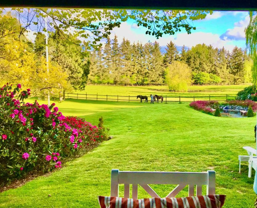 Fredensborg Municipality Bed & Breakfast | The Swiss hut 30 minutes from Copenhagen