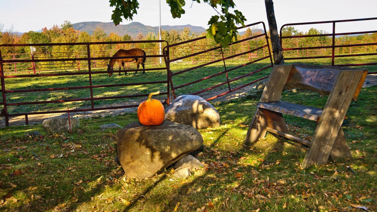 Sumner Other | The Tortoise and The Mare self-keeping Inn~Peaceful or Playful~it's up to YOU!