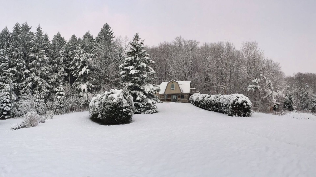 Mono Cabin | The Trails Retreat (Private Cabin)