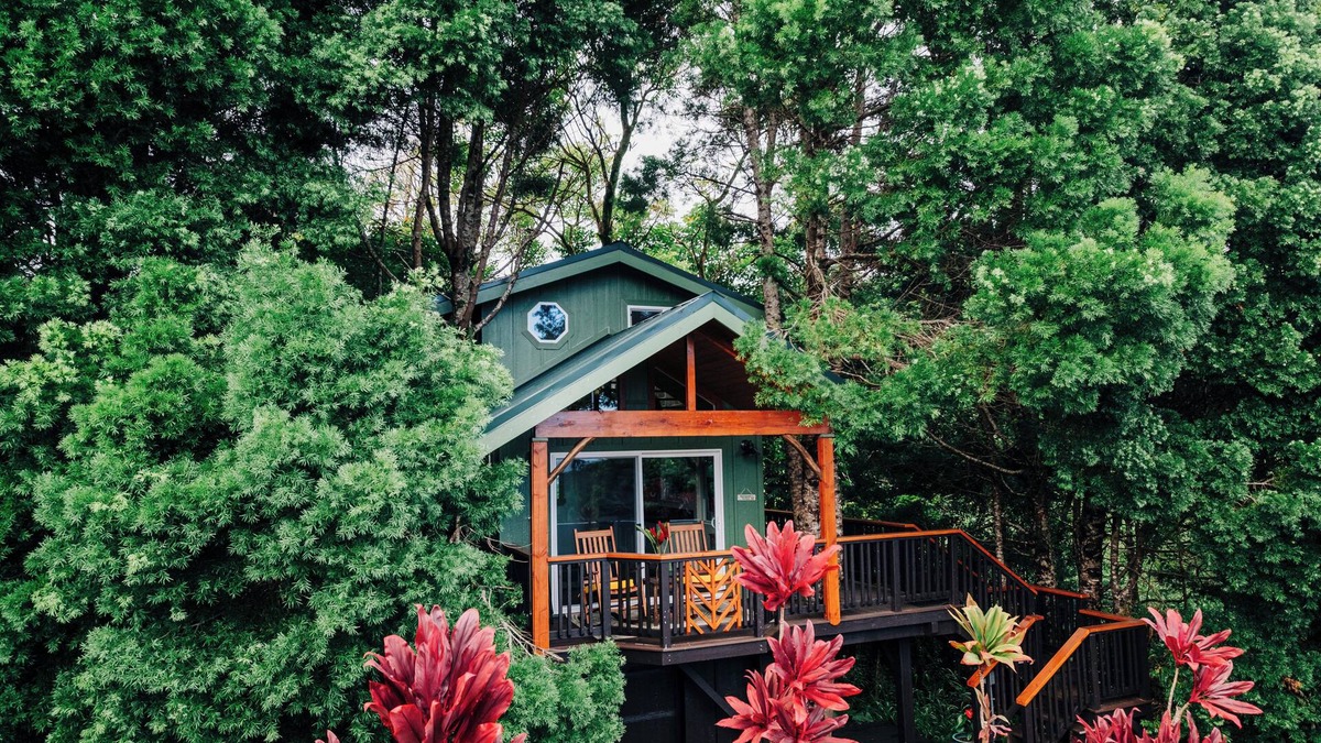 Hakalau Cottage | The Treehouse at Hulili Farm - NEW