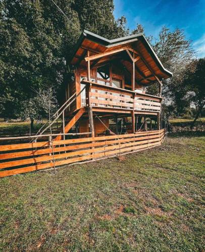Zitsa Apartment | The Treehouse of The Dragon