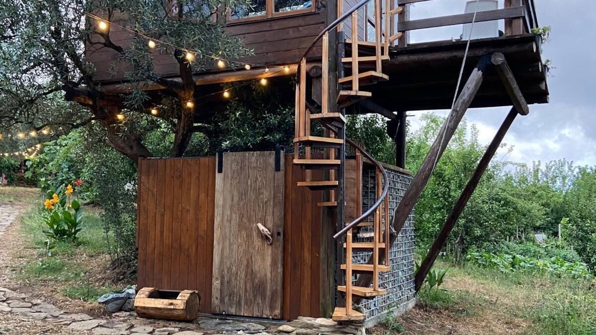 Nocera Terinese Ski Chalet | The Treehouse - Treehouse at Golden Camp