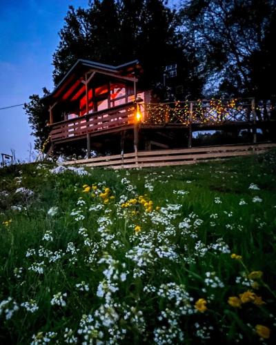 Zitsa Apartment | The Treevilla