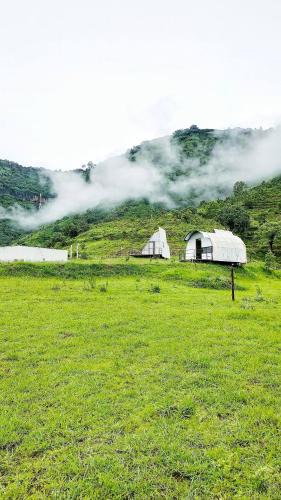 Wai Other | The Tribe Panchgani