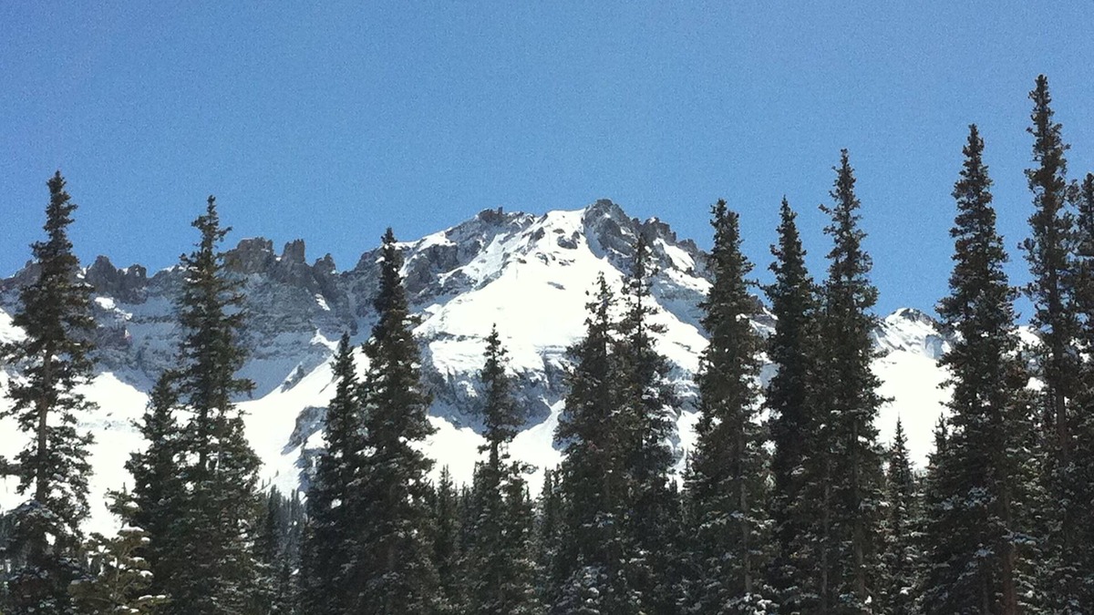 Mountain Village Condo | The Palmyra- Mountain Village Core