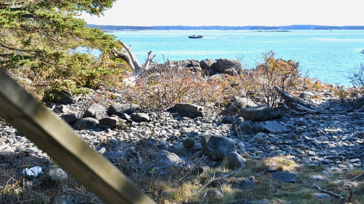 South Addison Cabin | THE VERY BEST OCEANFRONT GLAMPING RETREAT IN DOWNEAST MAINE!⚓ 🌊 🐕