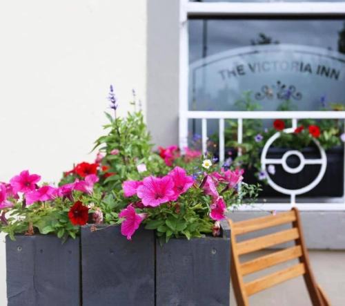 Haddington Hotel | The Victoria Inn