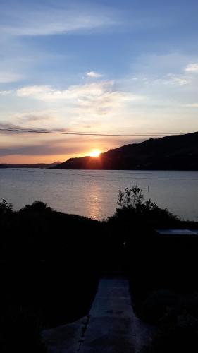 Dunedin House | The Views