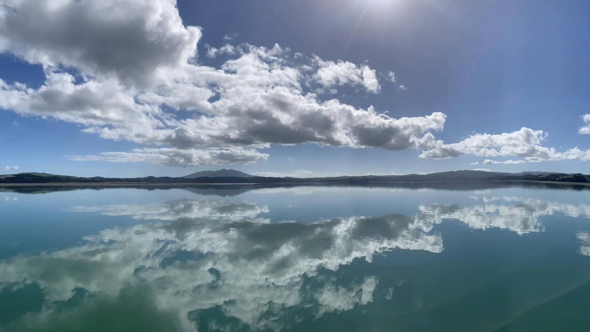 Te Mata Cabin | The Wee Crib with water views and PET friendly