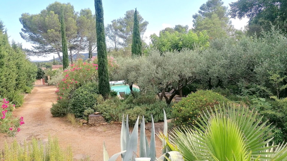 Castillon-du-Gard Villa | The whisper of the olive trees
