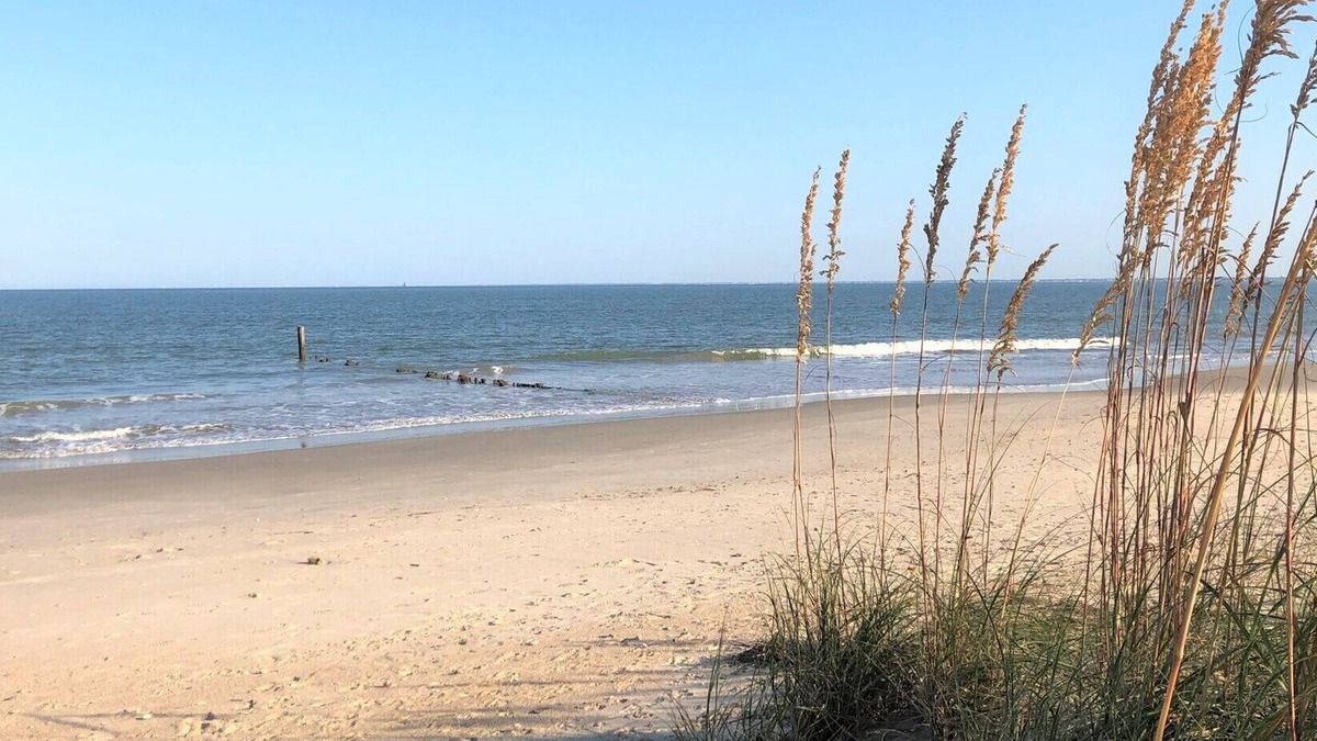 Buckroe Beach House | The "White Whale"- Cottage with private beach!