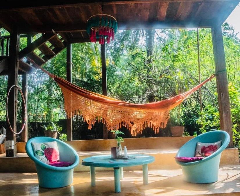 Anjuna House | The Wild Flower!
