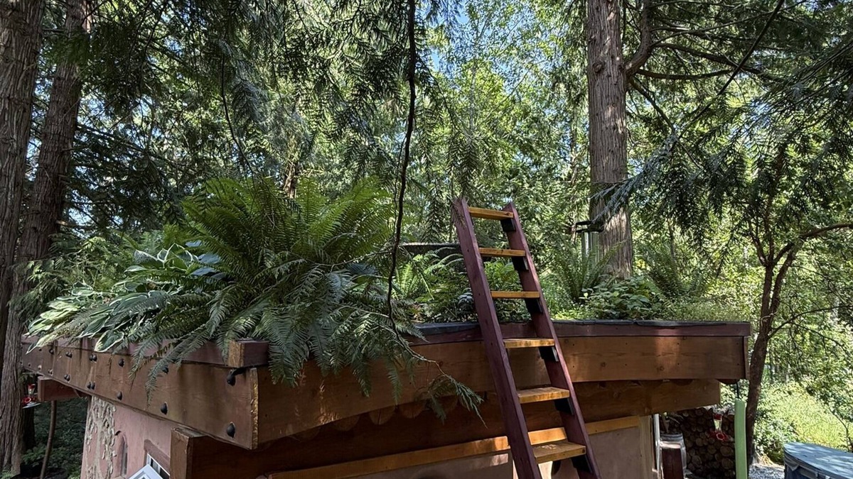 Shawnigan Lake Apartment | The Wobbly Hobbit- a unique cob studio in the forest.