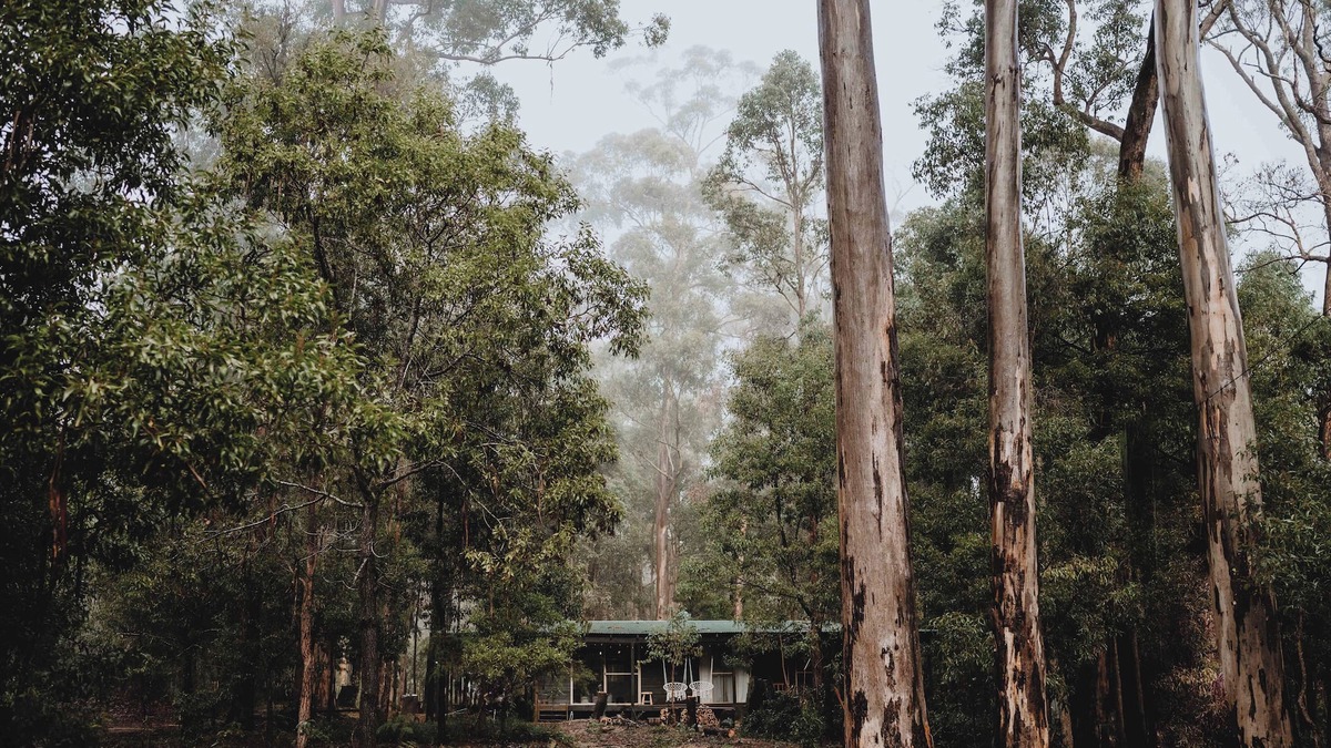 Quinninup Cabin | The woodkeeper's Cabin, Quinninup, Karri Forest Getaway in Western Australia