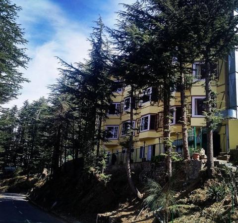 Naldehra Resort | The Woodstock Resort