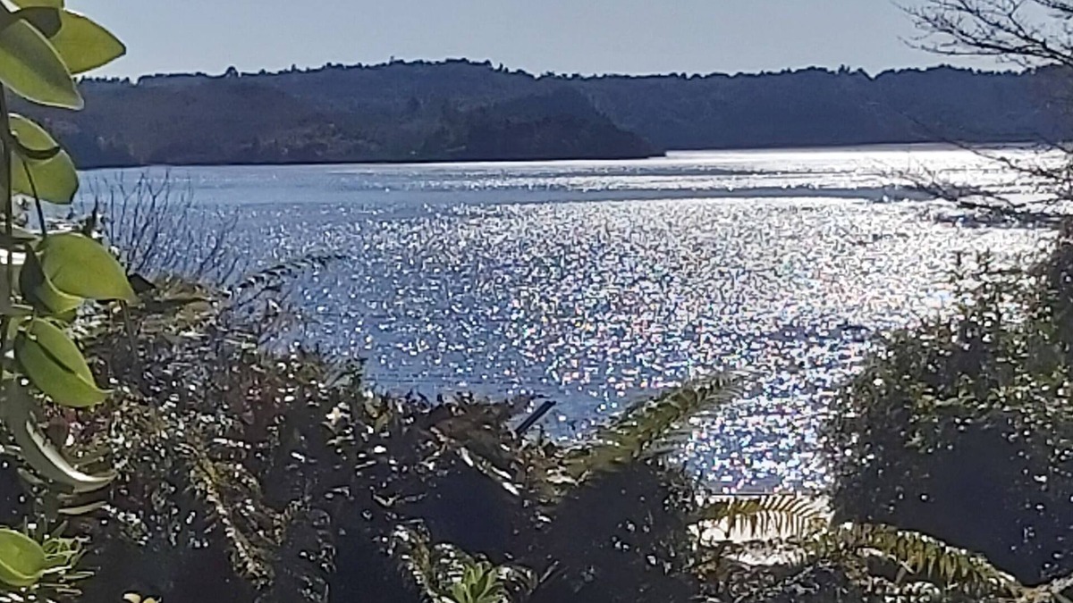 Rotoma House | THE WOW FACTOR Paradise found, all the home comforts at stunning Lake Rotoma