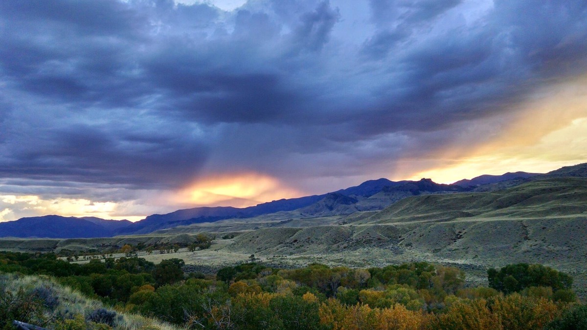 Wapiti Apartment | The Wyoming Paintbrush Studio - Room With a View!