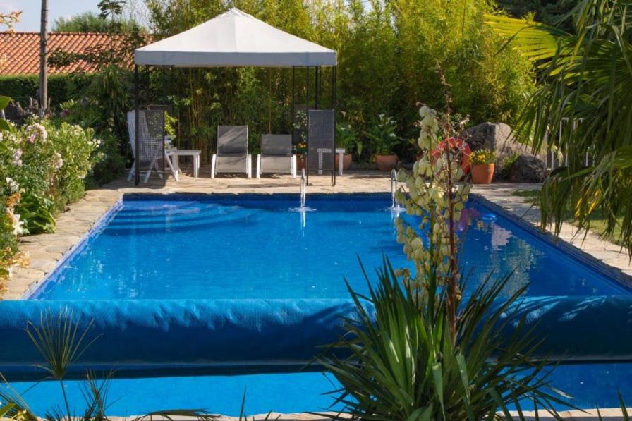 Mataelpino Apartment | The Yellow House