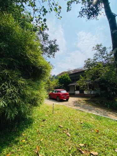 Vythiri Villa | The zerai private villa