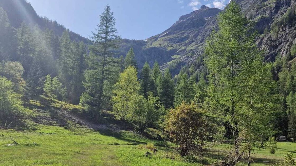 Salvan Cabin | Thelynx.ch : Cosy dome in the alps