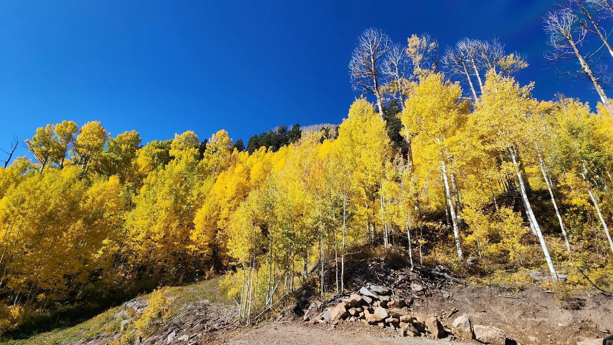 Silvercreek Condo | There's GOLD in Them Thar Hills
