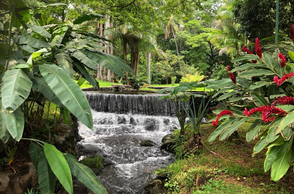 Caluco House | Thermal Paradise Villa