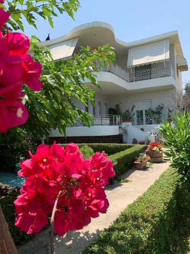 Nea Anchialos House | Theros Seaside House - Volos