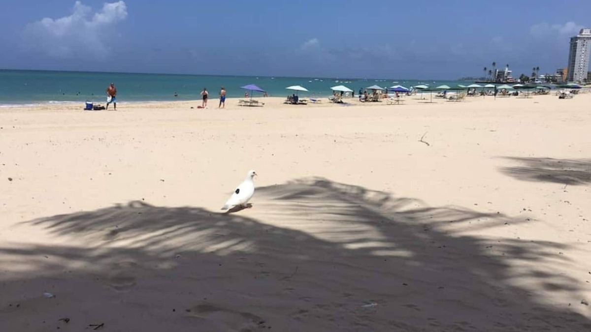 Punta Las Marias Apartment | This apartment is a 2 bedroom(s), 1 bathrooms, located in San Juan, PR.