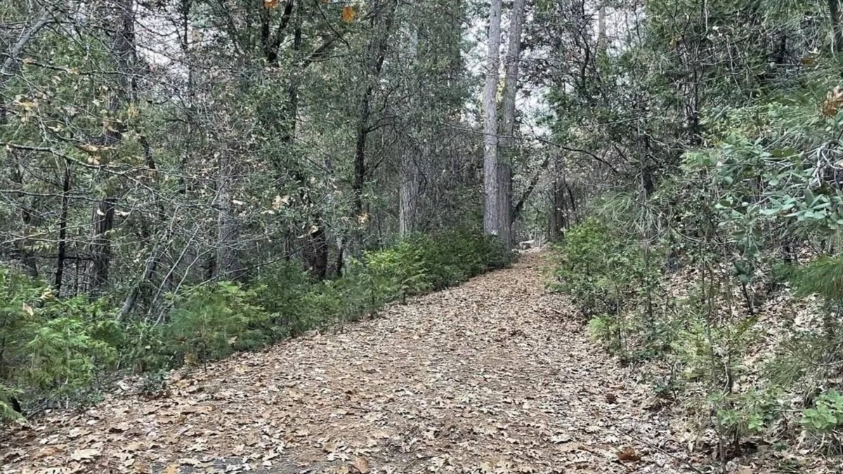Sonora RV Rental | This campsite provides the ultimate outdoor experience!