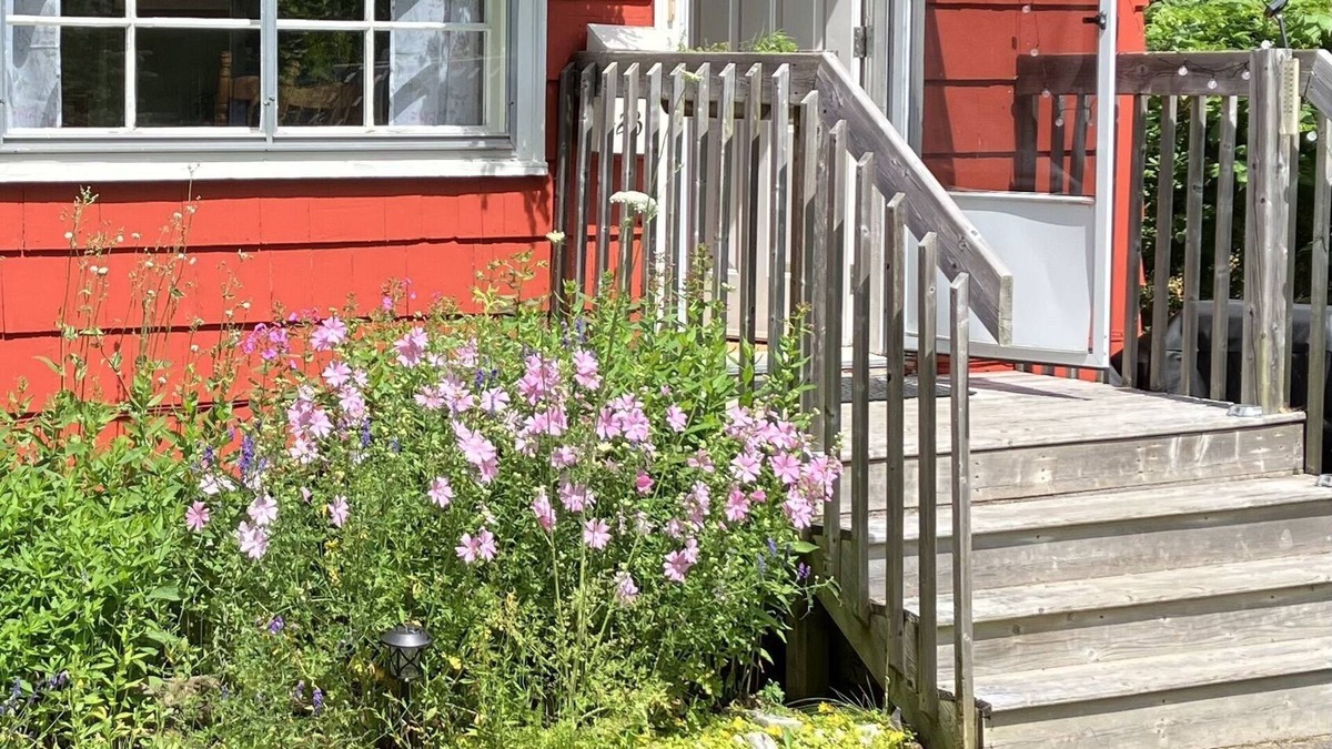 Halifax Cottage | This peaceful urban cottage is welcoming you!