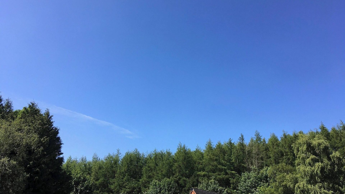 Fortrose Cottage | Thistle Lodge - UK7051