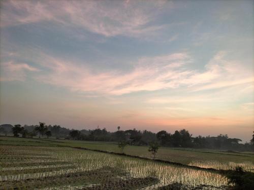 Mueang Nga Other | THONG HOME CAMPs