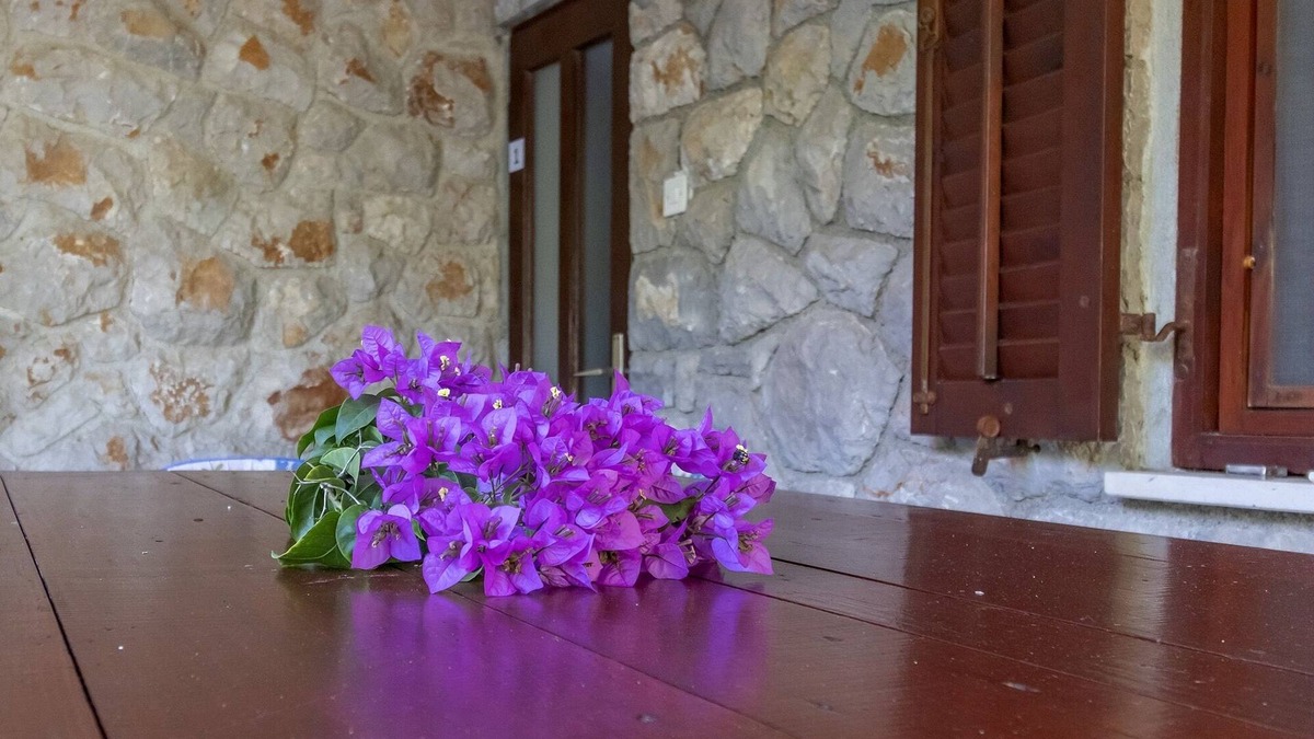 Cove Murtar Apartment | Three bedroom apartment with terrace Mali Lošinj, Lošinj (A-20594-a)