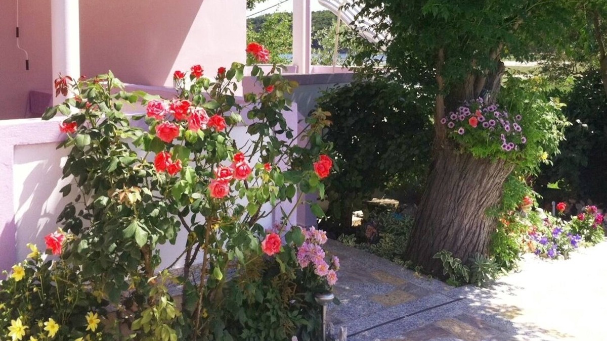 Suha Punta Apartment | Three bedroom apartment with terrace Kampor, Rab (A-4985-a)