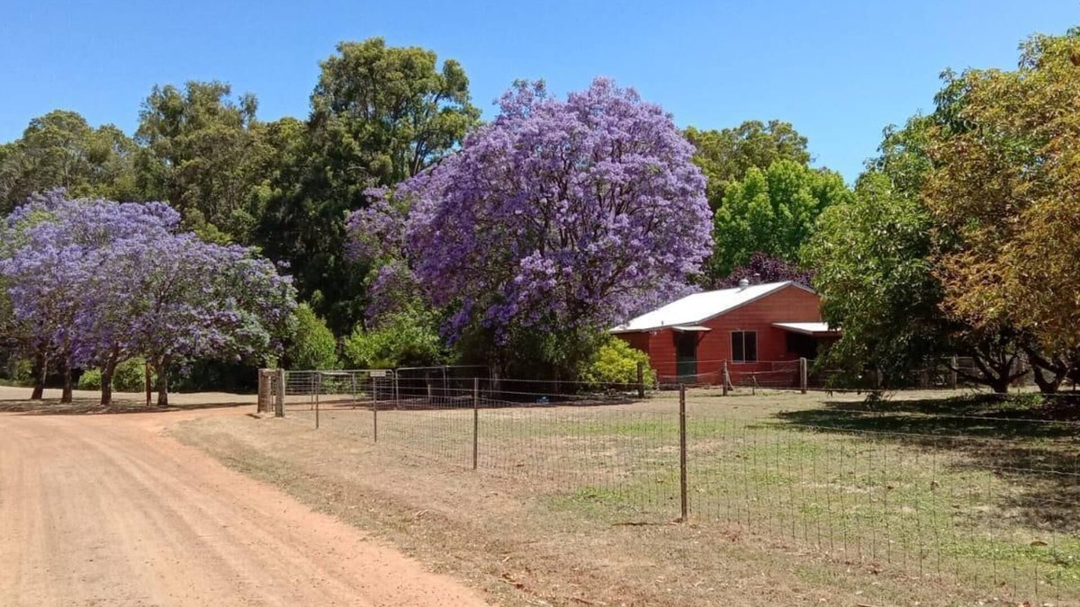 Peerabeelup Cottage | Three Bedroom Cottage - Sleeps 8 - Self contained 3 Bedroom Cottage 1 King, 1 Queen and 2 Bunks