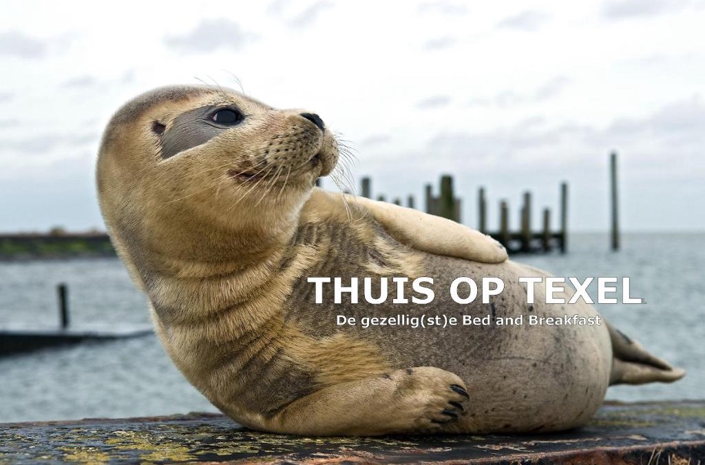 Den Burg Bed & Breakfast | Thuis op Texel