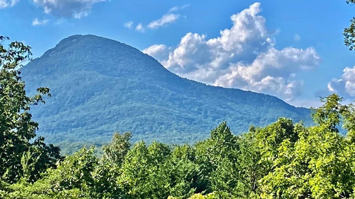 Cleveland Cabin | THUNDER RIDGE LODGE HAS AN AWESOME VIEW OF MT YONAH! Peace, privacy & seclusion.