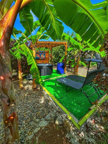Le Robert Apartment | Ti Ben - Jacuzzi Privatif Jardin Tropical - Le Robert