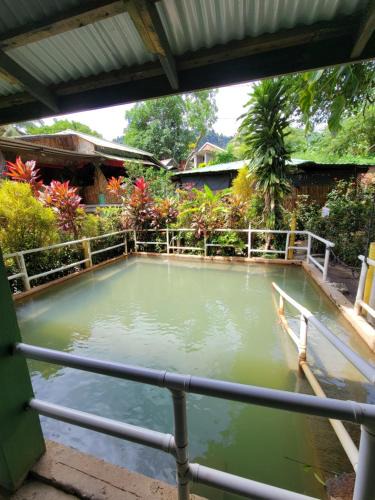 Wotten Waven House | Tia's Bamboo Cottages Restaurant, Bar & Sulphur Spa