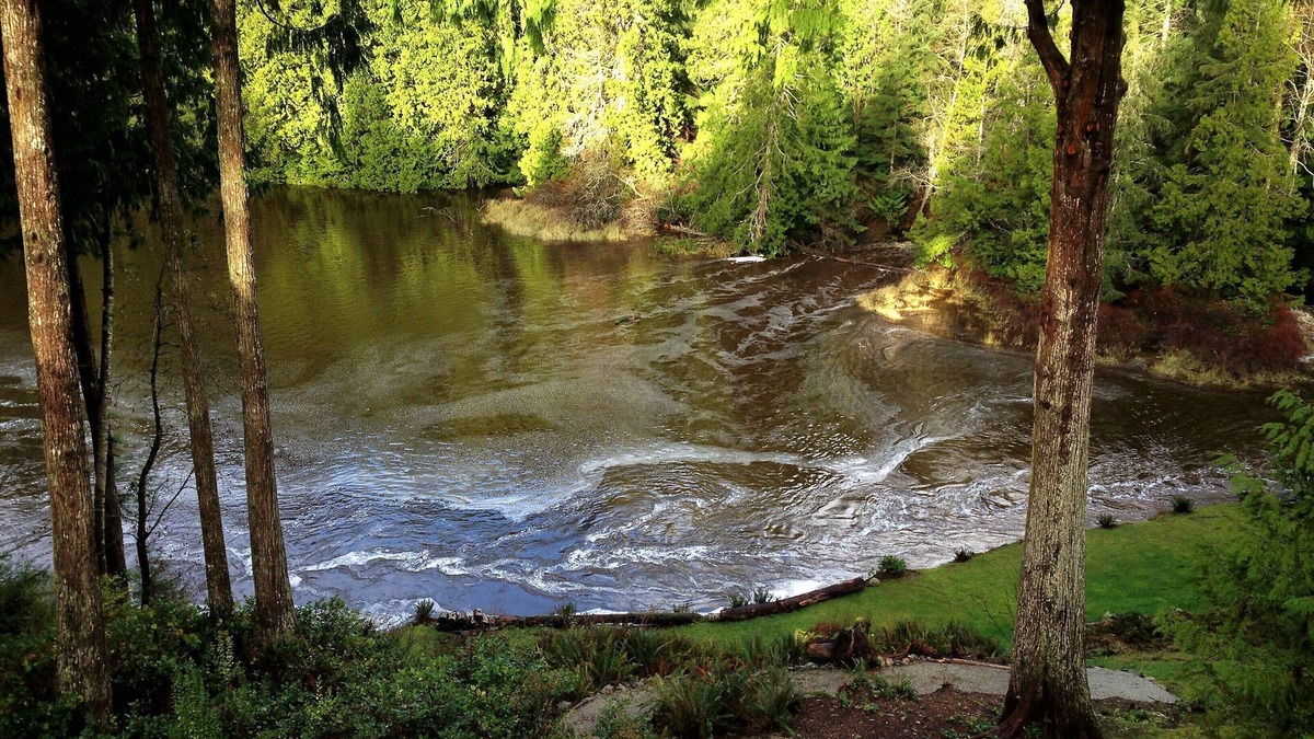 Halfmoon Bay House | Tidal Dance at Halfmoon Bay: “.a little piece of Paradise”