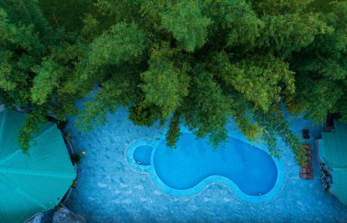 Dhela Hotel | Tiger Trail Resort